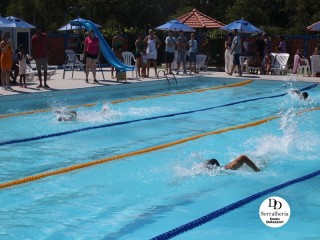 
<a style='margin-left: 5px;' class='btn btn-xs btn-social btn-facebook' href='https://www.facebook.com/sharer/sharer.php?u=https://boladovale.com.br/imgs/800-800-90/conteudo/fotos/1765/img1438-66.jpg' rel='popup' data-width='500' data-height='400'><i class='fa fa-facebook'></i>Compartilhar <span class='hidden-xs'>no Facebook</span>
</a> 
<a class='btn btn-default btn-xs' target='_blank' href='imgs/800-800-90/conteudo/fotos/1765/img1438-66.jpg'>
<span class='glyphicon glyphicon-cloud-download'></span> Salvar
</a> 
<span></span>