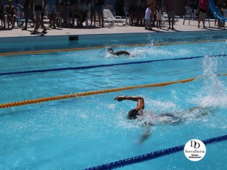 
<a style='margin-left: 5px;' class='btn btn-xs btn-social btn-facebook' href='https://www.facebook.com/sharer/sharer.php?u=https://boladovale.com.br/imgs/800-800-90/conteudo/fotos/1765/img1438-67.jpg' rel='popup' data-width='500' data-height='400'><i class='fa fa-facebook'></i>Compartilhar <span class='hidden-xs'>no Facebook</span>
</a> 
<a class='btn btn-default btn-xs' target='_blank' href='imgs/800-800-90/conteudo/fotos/1765/img1438-67.jpg'>
<span class='glyphicon glyphicon-cloud-download'></span> Salvar
</a> 
<span></span>