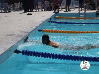 
<a style='margin-left: 5px;' class='btn btn-xs btn-social btn-facebook' href='https://www.facebook.com/sharer/sharer.php?u=https://boladovale.com.br/imgs/800-800-90/conteudo/fotos/1765/img1438-68.jpg' rel='popup' data-width='500' data-height='400'><i class='fa fa-facebook'></i>Compartilhar <span class='hidden-xs'>no Facebook</span>
</a> 
<a class='btn btn-default btn-xs' target='_blank' href='imgs/800-800-90/conteudo/fotos/1765/img1438-68.jpg'>
<span class='glyphicon glyphicon-cloud-download'></span> Salvar
</a> 
<span></span>