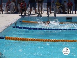 
<a style='margin-left: 5px;' class='btn btn-xs btn-social btn-facebook' href='https://www.facebook.com/sharer/sharer.php?u=https://boladovale.com.br/imgs/800-800-90/conteudo/fotos/1765/img1438-70.jpg' rel='popup' data-width='500' data-height='400'><i class='fa fa-facebook'></i>Compartilhar <span class='hidden-xs'>no Facebook</span>
</a> 
<a class='btn btn-default btn-xs' target='_blank' href='imgs/800-800-90/conteudo/fotos/1765/img1438-70.jpg'>
<span class='glyphicon glyphicon-cloud-download'></span> Salvar
</a> 
<span></span>