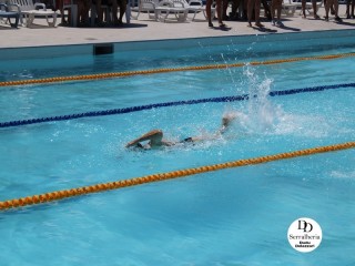 
<a style='margin-left: 5px;' class='btn btn-xs btn-social btn-facebook' href='https://www.facebook.com/sharer/sharer.php?u=https://boladovale.com.br/imgs/800-800-90/conteudo/fotos/1765/img1438-8.jpg' rel='popup' data-width='500' data-height='400'><i class='fa fa-facebook'></i>Compartilhar <span class='hidden-xs'>no Facebook</span>
</a> 
<a class='btn btn-default btn-xs' target='_blank' href='imgs/800-800-90/conteudo/fotos/1765/img1438-8.jpg'>
<span class='glyphicon glyphicon-cloud-download'></span> Salvar
</a> 
<span></span>