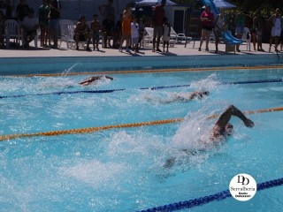 
<a style='margin-left: 5px;' class='btn btn-xs btn-social btn-facebook' href='https://www.facebook.com/sharer/sharer.php?u=https://boladovale.com.br/imgs/800-800-90/conteudo/fotos/1765/img1438-90.jpg' rel='popup' data-width='500' data-height='400'><i class='fa fa-facebook'></i>Compartilhar <span class='hidden-xs'>no Facebook</span>
</a> 
<a class='btn btn-default btn-xs' target='_blank' href='imgs/800-800-90/conteudo/fotos/1765/img1438-90.jpg'>
<span class='glyphicon glyphicon-cloud-download'></span> Salvar
</a> 
<span></span>