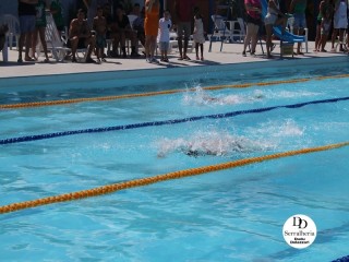 
<a style='margin-left: 5px;' class='btn btn-xs btn-social btn-facebook' href='https://www.facebook.com/sharer/sharer.php?u=https://boladovale.com.br/imgs/800-800-90/conteudo/fotos/1765/img1438-95.jpg' rel='popup' data-width='500' data-height='400'><i class='fa fa-facebook'></i>Compartilhar <span class='hidden-xs'>no Facebook</span>
</a> 
<a class='btn btn-default btn-xs' target='_blank' href='imgs/800-800-90/conteudo/fotos/1765/img1438-95.jpg'>
<span class='glyphicon glyphicon-cloud-download'></span> Salvar
</a> 
<span></span>