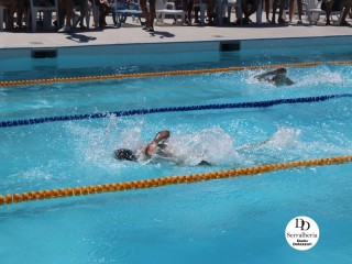 
<a style='margin-left: 5px;' class='btn btn-xs btn-social btn-facebook' href='https://www.facebook.com/sharer/sharer.php?u=https://boladovale.com.br/imgs/800-800-90/conteudo/fotos/1765/img1438-96.jpg' rel='popup' data-width='500' data-height='400'><i class='fa fa-facebook'></i>Compartilhar <span class='hidden-xs'>no Facebook</span>
</a> 
<a class='btn btn-default btn-xs' target='_blank' href='imgs/800-800-90/conteudo/fotos/1765/img1438-96.jpg'>
<span class='glyphicon glyphicon-cloud-download'></span> Salvar
</a> 
<span></span>