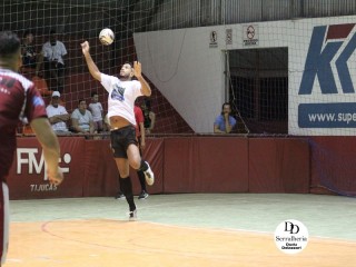 
<a style='margin-left: 5px;' class='btn btn-xs btn-social btn-facebook' href='https://www.facebook.com/sharer/sharer.php?u=https://boladovale.com.br/imgs/800-800-90/conteudo/fotos/1790/img2446.jpg' rel='popup' data-width='500' data-height='400'><i class='fa fa-facebook'></i>Compartilhar <span class='hidden-xs'>no Facebook</span>
</a> 
<a class='btn btn-default btn-xs' target='_blank' href='imgs/800-800-90/conteudo/fotos/1790/img2446.jpg'>
<span class='glyphicon glyphicon-cloud-download'></span> Salvar
</a> 
<span></span>