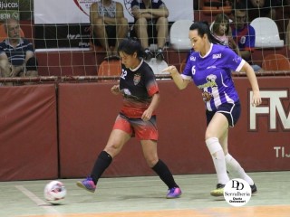 
<a style='margin-left: 5px;' class='btn btn-xs btn-social btn-facebook' href='https://www.facebook.com/sharer/sharer.php?u=https://boladovale.com.br/imgs/800-800-90/conteudo/fotos/1799/img4309.jpg' rel='popup' data-width='500' data-height='400'><i class='fa fa-facebook'></i>Compartilhar <span class='hidden-xs'>no Facebook</span>
</a> 
<a class='btn btn-default btn-xs' target='_blank' href='imgs/800-800-90/conteudo/fotos/1799/img4309.jpg'>
<span class='glyphicon glyphicon-cloud-download'></span> Salvar
</a> 
<span></span>