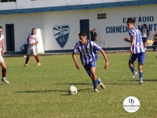 
<a style='margin-left: 5px;' class='btn btn-xs btn-social btn-facebook' href='https://www.facebook.com/sharer/sharer.php?u=https://boladovale.com.br/imgs/800-800-90/conteudo/fotos/1817/img5445.jpg' rel='popup' data-width='500' data-height='400'><i class='fa fa-facebook'></i>Compartilhar <span class='hidden-xs'>no Facebook</span>
</a> 
<a class='btn btn-default btn-xs' target='_blank' href='imgs/800-800-90/conteudo/fotos/1817/img5445.jpg'>
<span class='glyphicon glyphicon-cloud-download'></span> Salvar
</a> 
<span></span>