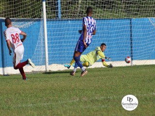 
<a style='margin-left: 5px;' class='btn btn-xs btn-social btn-facebook' href='https://www.facebook.com/sharer/sharer.php?u=https://boladovale.com.br/imgs/800-800-90/conteudo/fotos/1817/img5533.jpg' rel='popup' data-width='500' data-height='400'><i class='fa fa-facebook'></i>Compartilhar <span class='hidden-xs'>no Facebook</span>
</a> 
<a class='btn btn-default btn-xs' target='_blank' href='imgs/800-800-90/conteudo/fotos/1817/img5533.jpg'>
<span class='glyphicon glyphicon-cloud-download'></span> Salvar
</a> 
<span></span>