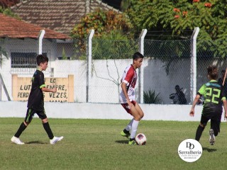 
<a style='margin-left: 5px;' class='btn btn-xs btn-social btn-facebook' href='https://www.facebook.com/sharer/sharer.php?u=https://boladovale.com.br/imgs/800-800-90/conteudo/fotos/1831/img8627.jpg' rel='popup' data-width='500' data-height='400'><i class='fa fa-facebook'></i>Compartilhar <span class='hidden-xs'>no Facebook</span>
</a> 
<a class='btn btn-default btn-xs' target='_blank' href='imgs/800-800-90/conteudo/fotos/1831/img8627.jpg'>
<span class='glyphicon glyphicon-cloud-download'></span> Salvar
</a> 
<span></span>