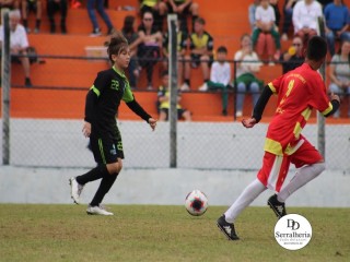 
<a style='margin-left: 5px;' class='btn btn-xs btn-social btn-facebook' href='https://www.facebook.com/sharer/sharer.php?u=https://boladovale.com.br/imgs/800-800-90/conteudo/fotos/1835/img9043.jpg' rel='popup' data-width='500' data-height='400'><i class='fa fa-facebook'></i>Compartilhar <span class='hidden-xs'>no Facebook</span>
</a> 
<a class='btn btn-default btn-xs' target='_blank' href='imgs/800-800-90/conteudo/fotos/1835/img9043.jpg'>
<span class='glyphicon glyphicon-cloud-download'></span> Salvar
</a> 
<span></span>