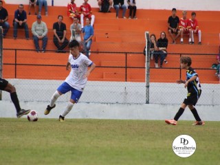 
<a style='margin-left: 5px;' class='btn btn-xs btn-social btn-facebook' href='https://www.facebook.com/sharer/sharer.php?u=https://boladovale.com.br/imgs/800-800-90/conteudo/fotos/1835/img9123.jpg' rel='popup' data-width='500' data-height='400'><i class='fa fa-facebook'></i>Compartilhar <span class='hidden-xs'>no Facebook</span>
</a> 
<a class='btn btn-default btn-xs' target='_blank' href='imgs/800-800-90/conteudo/fotos/1835/img9123.jpg'>
<span class='glyphicon glyphicon-cloud-download'></span> Salvar
</a> 
<span></span>