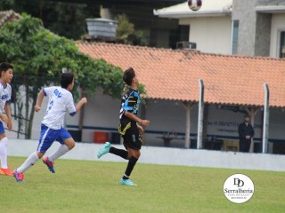 
<a style='margin-left: 5px;' class='btn btn-xs btn-social btn-facebook' href='https://www.facebook.com/sharer/sharer.php?u=https://boladovale.com.br/imgs/800-800-90/conteudo/fotos/1835/img9139.jpg' rel='popup' data-width='500' data-height='400'><i class='fa fa-facebook'></i>Compartilhar <span class='hidden-xs'>no Facebook</span>
</a> 
<a class='btn btn-default btn-xs' target='_blank' href='imgs/800-800-90/conteudo/fotos/1835/img9139.jpg'>
<span class='glyphicon glyphicon-cloud-download'></span> Salvar
</a> 
<span></span>