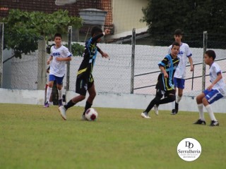 
<a style='margin-left: 5px;' class='btn btn-xs btn-social btn-facebook' href='https://www.facebook.com/sharer/sharer.php?u=https://boladovale.com.br/imgs/800-800-90/conteudo/fotos/1835/img9146.jpg' rel='popup' data-width='500' data-height='400'><i class='fa fa-facebook'></i>Compartilhar <span class='hidden-xs'>no Facebook</span>
</a> 
<a class='btn btn-default btn-xs' target='_blank' href='imgs/800-800-90/conteudo/fotos/1835/img9146.jpg'>
<span class='glyphicon glyphicon-cloud-download'></span> Salvar
</a> 
<span></span>