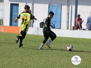 
<a style='margin-left: 5px;' class='btn btn-xs btn-social btn-facebook' href='https://www.facebook.com/sharer/sharer.php?u=https://boladovale.com.br/imgs/800-800-90/conteudo/fotos/1840/img9947.jpg' rel='popup' data-width='500' data-height='400'><i class='fa fa-facebook'></i>Compartilhar <span class='hidden-xs'>no Facebook</span>
</a> 
<a class='btn btn-default btn-xs' target='_blank' href='imgs/800-800-90/conteudo/fotos/1840/img9947.jpg'>
<span class='glyphicon glyphicon-cloud-download'></span> Salvar
</a> 
<span></span>
