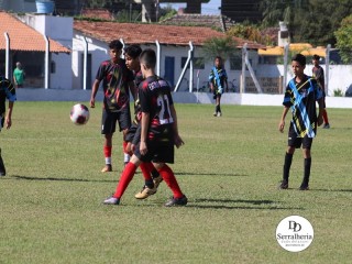 
<a style='margin-left: 5px;' class='btn btn-xs btn-social btn-facebook' href='https://www.facebook.com/sharer/sharer.php?u=https://boladovale.com.br/imgs/800-800-90/conteudo/fotos/1841/img0138.jpg' rel='popup' data-width='500' data-height='400'><i class='fa fa-facebook'></i>Compartilhar <span class='hidden-xs'>no Facebook</span>
</a> 
<a class='btn btn-default btn-xs' target='_blank' href='imgs/800-800-90/conteudo/fotos/1841/img0138.jpg'>
<span class='glyphicon glyphicon-cloud-download'></span> Salvar
</a> 
<span></span>