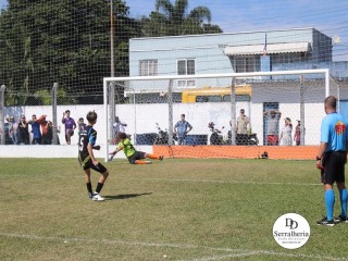 
<a style='margin-left: 5px;' class='btn btn-xs btn-social btn-facebook' href='https://www.facebook.com/sharer/sharer.php?u=https://boladovale.com.br/imgs/800-800-90/conteudo/fotos/1841/img0262.jpg' rel='popup' data-width='500' data-height='400'><i class='fa fa-facebook'></i>Compartilhar <span class='hidden-xs'>no Facebook</span>
</a> 
<a class='btn btn-default btn-xs' target='_blank' href='imgs/800-800-90/conteudo/fotos/1841/img0262.jpg'>
<span class='glyphicon glyphicon-cloud-download'></span> Salvar
</a> 
<span></span>