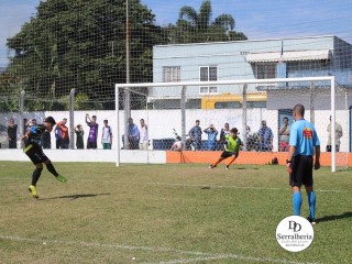 
<a style='margin-left: 5px;' class='btn btn-xs btn-social btn-facebook' href='https://www.facebook.com/sharer/sharer.php?u=https://boladovale.com.br/imgs/800-800-90/conteudo/fotos/1841/img0322.jpg' rel='popup' data-width='500' data-height='400'><i class='fa fa-facebook'></i>Compartilhar <span class='hidden-xs'>no Facebook</span>
</a> 
<a class='btn btn-default btn-xs' target='_blank' href='imgs/800-800-90/conteudo/fotos/1841/img0322.jpg'>
<span class='glyphicon glyphicon-cloud-download'></span> Salvar
</a> 
<span></span>