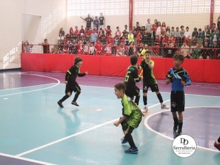 
<a style='margin-left: 5px;' class='btn btn-xs btn-social btn-facebook' href='https://www.facebook.com/sharer/sharer.php?u=https://boladovale.com.br/imgs/800-800-90/conteudo/fotos/1888/img9867.jpg' rel='popup' data-width='500' data-height='400'><i class='fa fa-facebook'></i>Compartilhar <span class='hidden-xs'>no Facebook</span>
</a> 
<a class='btn btn-default btn-xs' target='_blank' href='imgs/800-800-90/conteudo/fotos/1888/img9867.jpg'>
<span class='glyphicon glyphicon-cloud-download'></span> Salvar
</a> 
<span></span>