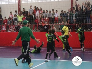 
<a style='margin-left: 5px;' class='btn btn-xs btn-social btn-facebook' href='https://www.facebook.com/sharer/sharer.php?u=https://boladovale.com.br/imgs/800-800-90/conteudo/fotos/1888/img9870.jpg' rel='popup' data-width='500' data-height='400'><i class='fa fa-facebook'></i>Compartilhar <span class='hidden-xs'>no Facebook</span>
</a> 
<a class='btn btn-default btn-xs' target='_blank' href='imgs/800-800-90/conteudo/fotos/1888/img9870.jpg'>
<span class='glyphicon glyphicon-cloud-download'></span> Salvar
</a> 
<span></span>