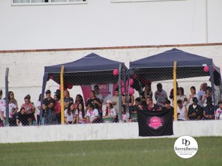 
<a style='margin-left: 5px;' class='btn btn-xs btn-social btn-facebook' href='https://www.facebook.com/sharer/sharer.php?u=https://boladovale.com.br/imgs/800-800-90/conteudo/fotos/1895/img2023.jpg' rel='popup' data-width='500' data-height='400'><i class='fa fa-facebook'></i>Compartilhar <span class='hidden-xs'>no Facebook</span>
</a> 
<a class='btn btn-default btn-xs' target='_blank' href='imgs/800-800-90/conteudo/fotos/1895/img2023.jpg'>
<span class='glyphicon glyphicon-cloud-download'></span> Salvar
</a> 
<span></span>