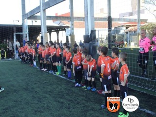 
<a style='margin-left: 5px;' class='btn btn-xs btn-social btn-facebook' href='https://www.facebook.com/sharer/sharer.php?u=https://boladovale.com.br/imgs/800-800-90/conteudo/fotos/1900/img3613.jpg' rel='popup' data-width='500' data-height='400'><i class='fa fa-facebook'></i>Compartilhar <span class='hidden-xs'>no Facebook</span>
</a> 
<a class='btn btn-default btn-xs' target='_blank' href='imgs/800-800-90/conteudo/fotos/1900/img3613.jpg'>
<span class='glyphicon glyphicon-cloud-download'></span> Salvar
</a> 
<span></span>