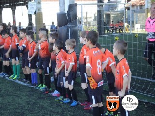 
<a style='margin-left: 5px;' class='btn btn-xs btn-social btn-facebook' href='https://www.facebook.com/sharer/sharer.php?u=https://boladovale.com.br/imgs/800-800-90/conteudo/fotos/1900/img3615.jpg' rel='popup' data-width='500' data-height='400'><i class='fa fa-facebook'></i>Compartilhar <span class='hidden-xs'>no Facebook</span>
</a> 
<a class='btn btn-default btn-xs' target='_blank' href='imgs/800-800-90/conteudo/fotos/1900/img3615.jpg'>
<span class='glyphicon glyphicon-cloud-download'></span> Salvar
</a> 
<span></span>
