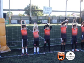
<a style='margin-left: 5px;' class='btn btn-xs btn-social btn-facebook' href='https://www.facebook.com/sharer/sharer.php?u=https://boladovale.com.br/imgs/800-800-90/conteudo/fotos/1900/img3618.jpg' rel='popup' data-width='500' data-height='400'><i class='fa fa-facebook'></i>Compartilhar <span class='hidden-xs'>no Facebook</span>
</a> 
<a class='btn btn-default btn-xs' target='_blank' href='imgs/800-800-90/conteudo/fotos/1900/img3618.jpg'>
<span class='glyphicon glyphicon-cloud-download'></span> Salvar
</a> 
<span></span>