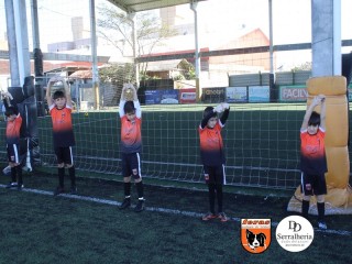 
<a style='margin-left: 5px;' class='btn btn-xs btn-social btn-facebook' href='https://www.facebook.com/sharer/sharer.php?u=https://boladovale.com.br/imgs/800-800-90/conteudo/fotos/1900/img3619.jpg' rel='popup' data-width='500' data-height='400'><i class='fa fa-facebook'></i>Compartilhar <span class='hidden-xs'>no Facebook</span>
</a> 
<a class='btn btn-default btn-xs' target='_blank' href='imgs/800-800-90/conteudo/fotos/1900/img3619.jpg'>
<span class='glyphicon glyphicon-cloud-download'></span> Salvar
</a> 
<span></span>