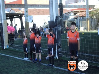 
<a style='margin-left: 5px;' class='btn btn-xs btn-social btn-facebook' href='https://www.facebook.com/sharer/sharer.php?u=https://boladovale.com.br/imgs/800-800-90/conteudo/fotos/1900/img3620.jpg' rel='popup' data-width='500' data-height='400'><i class='fa fa-facebook'></i>Compartilhar <span class='hidden-xs'>no Facebook</span>
</a> 
<a class='btn btn-default btn-xs' target='_blank' href='imgs/800-800-90/conteudo/fotos/1900/img3620.jpg'>
<span class='glyphicon glyphicon-cloud-download'></span> Salvar
</a> 
<span></span>