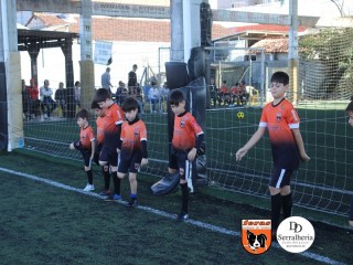 
<a style='margin-left: 5px;' class='btn btn-xs btn-social btn-facebook' href='https://www.facebook.com/sharer/sharer.php?u=https://boladovale.com.br/imgs/800-800-90/conteudo/fotos/1900/img3621.jpg' rel='popup' data-width='500' data-height='400'><i class='fa fa-facebook'></i>Compartilhar <span class='hidden-xs'>no Facebook</span>
</a> 
<a class='btn btn-default btn-xs' target='_blank' href='imgs/800-800-90/conteudo/fotos/1900/img3621.jpg'>
<span class='glyphicon glyphicon-cloud-download'></span> Salvar
</a> 
<span></span>