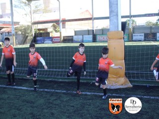 
<a style='margin-left: 5px;' class='btn btn-xs btn-social btn-facebook' href='https://www.facebook.com/sharer/sharer.php?u=https://boladovale.com.br/imgs/800-800-90/conteudo/fotos/1900/img3622.jpg' rel='popup' data-width='500' data-height='400'><i class='fa fa-facebook'></i>Compartilhar <span class='hidden-xs'>no Facebook</span>
</a> 
<a class='btn btn-default btn-xs' target='_blank' href='imgs/800-800-90/conteudo/fotos/1900/img3622.jpg'>
<span class='glyphicon glyphicon-cloud-download'></span> Salvar
</a> 
<span></span>