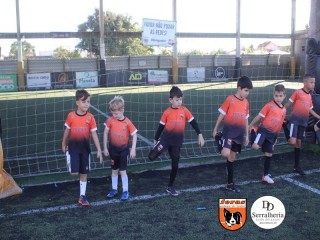 
<a style='margin-left: 5px;' class='btn btn-xs btn-social btn-facebook' href='https://www.facebook.com/sharer/sharer.php?u=https://boladovale.com.br/imgs/800-800-90/conteudo/fotos/1900/img3623.jpg' rel='popup' data-width='500' data-height='400'><i class='fa fa-facebook'></i>Compartilhar <span class='hidden-xs'>no Facebook</span>
</a> 
<a class='btn btn-default btn-xs' target='_blank' href='imgs/800-800-90/conteudo/fotos/1900/img3623.jpg'>
<span class='glyphicon glyphicon-cloud-download'></span> Salvar
</a> 
<span></span>