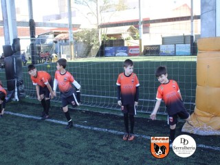 
<a style='margin-left: 5px;' class='btn btn-xs btn-social btn-facebook' href='https://www.facebook.com/sharer/sharer.php?u=https://boladovale.com.br/imgs/800-800-90/conteudo/fotos/1900/img3630.jpg' rel='popup' data-width='500' data-height='400'><i class='fa fa-facebook'></i>Compartilhar <span class='hidden-xs'>no Facebook</span>
</a> 
<a class='btn btn-default btn-xs' target='_blank' href='imgs/800-800-90/conteudo/fotos/1900/img3630.jpg'>
<span class='glyphicon glyphicon-cloud-download'></span> Salvar
</a> 
<span></span>