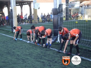 
<a style='margin-left: 5px;' class='btn btn-xs btn-social btn-facebook' href='https://www.facebook.com/sharer/sharer.php?u=https://boladovale.com.br/imgs/800-800-90/conteudo/fotos/1900/img3632.jpg' rel='popup' data-width='500' data-height='400'><i class='fa fa-facebook'></i>Compartilhar <span class='hidden-xs'>no Facebook</span>
</a> 
<a class='btn btn-default btn-xs' target='_blank' href='imgs/800-800-90/conteudo/fotos/1900/img3632.jpg'>
<span class='glyphicon glyphicon-cloud-download'></span> Salvar
</a> 
<span></span>