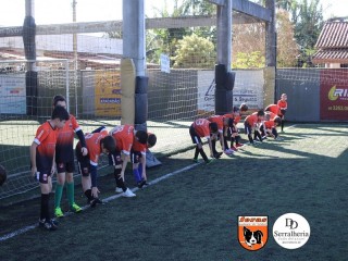 
<a style='margin-left: 5px;' class='btn btn-xs btn-social btn-facebook' href='https://www.facebook.com/sharer/sharer.php?u=https://boladovale.com.br/imgs/800-800-90/conteudo/fotos/1900/img3636.jpg' rel='popup' data-width='500' data-height='400'><i class='fa fa-facebook'></i>Compartilhar <span class='hidden-xs'>no Facebook</span>
</a> 
<a class='btn btn-default btn-xs' target='_blank' href='imgs/800-800-90/conteudo/fotos/1900/img3636.jpg'>
<span class='glyphicon glyphicon-cloud-download'></span> Salvar
</a> 
<span></span>