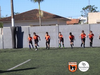 
<a style='margin-left: 5px;' class='btn btn-xs btn-social btn-facebook' href='https://www.facebook.com/sharer/sharer.php?u=https://boladovale.com.br/imgs/800-800-90/conteudo/fotos/1900/img3638.jpg' rel='popup' data-width='500' data-height='400'><i class='fa fa-facebook'></i>Compartilhar <span class='hidden-xs'>no Facebook</span>
</a> 
<a class='btn btn-default btn-xs' target='_blank' href='imgs/800-800-90/conteudo/fotos/1900/img3638.jpg'>
<span class='glyphicon glyphicon-cloud-download'></span> Salvar
</a> 
<span></span>