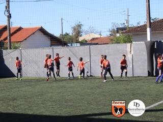 
<a style='margin-left: 5px;' class='btn btn-xs btn-social btn-facebook' href='https://www.facebook.com/sharer/sharer.php?u=https://boladovale.com.br/imgs/800-800-90/conteudo/fotos/1900/img3644.jpg' rel='popup' data-width='500' data-height='400'><i class='fa fa-facebook'></i>Compartilhar <span class='hidden-xs'>no Facebook</span>
</a> 
<a class='btn btn-default btn-xs' target='_blank' href='imgs/800-800-90/conteudo/fotos/1900/img3644.jpg'>
<span class='glyphicon glyphicon-cloud-download'></span> Salvar
</a> 
<span></span>