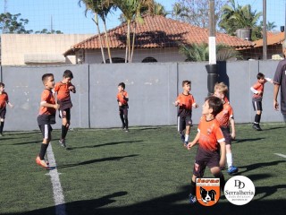 
<a style='margin-left: 5px;' class='btn btn-xs btn-social btn-facebook' href='https://www.facebook.com/sharer/sharer.php?u=https://boladovale.com.br/imgs/800-800-90/conteudo/fotos/1900/img3645.jpg' rel='popup' data-width='500' data-height='400'><i class='fa fa-facebook'></i>Compartilhar <span class='hidden-xs'>no Facebook</span>
</a> 
<a class='btn btn-default btn-xs' target='_blank' href='imgs/800-800-90/conteudo/fotos/1900/img3645.jpg'>
<span class='glyphicon glyphicon-cloud-download'></span> Salvar
</a> 
<span></span>