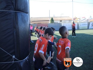 
<a style='margin-left: 5px;' class='btn btn-xs btn-social btn-facebook' href='https://www.facebook.com/sharer/sharer.php?u=https://boladovale.com.br/imgs/800-800-90/conteudo/fotos/1900/img3651.jpg' rel='popup' data-width='500' data-height='400'><i class='fa fa-facebook'></i>Compartilhar <span class='hidden-xs'>no Facebook</span>
</a> 
<a class='btn btn-default btn-xs' target='_blank' href='imgs/800-800-90/conteudo/fotos/1900/img3651.jpg'>
<span class='glyphicon glyphicon-cloud-download'></span> Salvar
</a> 
<span></span>