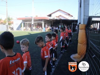 
<a style='margin-left: 5px;' class='btn btn-xs btn-social btn-facebook' href='https://www.facebook.com/sharer/sharer.php?u=https://boladovale.com.br/imgs/800-800-90/conteudo/fotos/1900/img3652.jpg' rel='popup' data-width='500' data-height='400'><i class='fa fa-facebook'></i>Compartilhar <span class='hidden-xs'>no Facebook</span>
</a> 
<a class='btn btn-default btn-xs' target='_blank' href='imgs/800-800-90/conteudo/fotos/1900/img3652.jpg'>
<span class='glyphicon glyphicon-cloud-download'></span> Salvar
</a> 
<span></span>