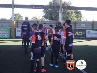 
<a style='margin-left: 5px;' class='btn btn-xs btn-social btn-facebook' href='https://www.facebook.com/sharer/sharer.php?u=https://boladovale.com.br/imgs/800-800-90/conteudo/fotos/1900/img3666.jpg' rel='popup' data-width='500' data-height='400'><i class='fa fa-facebook'></i>Compartilhar <span class='hidden-xs'>no Facebook</span>
</a> 
<a class='btn btn-default btn-xs' target='_blank' href='imgs/800-800-90/conteudo/fotos/1900/img3666.jpg'>
<span class='glyphicon glyphicon-cloud-download'></span> Salvar
</a> 
<span></span>