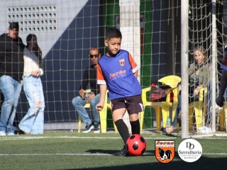 
<a style='margin-left: 5px;' class='btn btn-xs btn-social btn-facebook' href='https://www.facebook.com/sharer/sharer.php?u=https://boladovale.com.br/imgs/800-800-90/conteudo/fotos/1900/img3673.jpg' rel='popup' data-width='500' data-height='400'><i class='fa fa-facebook'></i>Compartilhar <span class='hidden-xs'>no Facebook</span>
</a> 
<a class='btn btn-default btn-xs' target='_blank' href='imgs/800-800-90/conteudo/fotos/1900/img3673.jpg'>
<span class='glyphicon glyphicon-cloud-download'></span> Salvar
</a> 
<span></span>