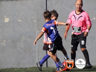 
<a style='margin-left: 5px;' class='btn btn-xs btn-social btn-facebook' href='https://www.facebook.com/sharer/sharer.php?u=https://boladovale.com.br/imgs/800-800-90/conteudo/fotos/1900/img3678.jpg' rel='popup' data-width='500' data-height='400'><i class='fa fa-facebook'></i>Compartilhar <span class='hidden-xs'>no Facebook</span>
</a> 
<a class='btn btn-default btn-xs' target='_blank' href='imgs/800-800-90/conteudo/fotos/1900/img3678.jpg'>
<span class='glyphicon glyphicon-cloud-download'></span> Salvar
</a> 
<span></span>