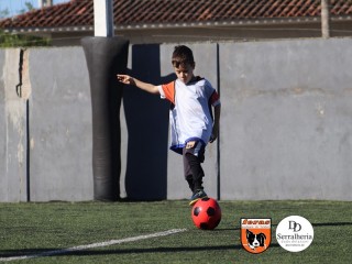 
<a style='margin-left: 5px;' class='btn btn-xs btn-social btn-facebook' href='https://www.facebook.com/sharer/sharer.php?u=https://boladovale.com.br/imgs/800-800-90/conteudo/fotos/1900/img3681.jpg' rel='popup' data-width='500' data-height='400'><i class='fa fa-facebook'></i>Compartilhar <span class='hidden-xs'>no Facebook</span>
</a> 
<a class='btn btn-default btn-xs' target='_blank' href='imgs/800-800-90/conteudo/fotos/1900/img3681.jpg'>
<span class='glyphicon glyphicon-cloud-download'></span> Salvar
</a> 
<span></span>