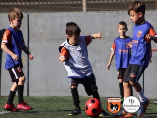
<a style='margin-left: 5px;' class='btn btn-xs btn-social btn-facebook' href='https://www.facebook.com/sharer/sharer.php?u=https://boladovale.com.br/imgs/800-800-90/conteudo/fotos/1900/img3683.jpg' rel='popup' data-width='500' data-height='400'><i class='fa fa-facebook'></i>Compartilhar <span class='hidden-xs'>no Facebook</span>
</a> 
<a class='btn btn-default btn-xs' target='_blank' href='imgs/800-800-90/conteudo/fotos/1900/img3683.jpg'>
<span class='glyphicon glyphicon-cloud-download'></span> Salvar
</a> 
<span></span>