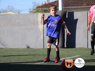 
<a style='margin-left: 5px;' class='btn btn-xs btn-social btn-facebook' href='https://www.facebook.com/sharer/sharer.php?u=https://boladovale.com.br/imgs/800-800-90/conteudo/fotos/1900/img3686.jpg' rel='popup' data-width='500' data-height='400'><i class='fa fa-facebook'></i>Compartilhar <span class='hidden-xs'>no Facebook</span>
</a> 
<a class='btn btn-default btn-xs' target='_blank' href='imgs/800-800-90/conteudo/fotos/1900/img3686.jpg'>
<span class='glyphicon glyphicon-cloud-download'></span> Salvar
</a> 
<span></span>