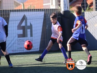 
<a style='margin-left: 5px;' class='btn btn-xs btn-social btn-facebook' href='https://www.facebook.com/sharer/sharer.php?u=https://boladovale.com.br/imgs/800-800-90/conteudo/fotos/1900/img3688.jpg' rel='popup' data-width='500' data-height='400'><i class='fa fa-facebook'></i>Compartilhar <span class='hidden-xs'>no Facebook</span>
</a> 
<a class='btn btn-default btn-xs' target='_blank' href='imgs/800-800-90/conteudo/fotos/1900/img3688.jpg'>
<span class='glyphicon glyphicon-cloud-download'></span> Salvar
</a> 
<span></span>