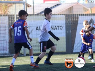 
<a style='margin-left: 5px;' class='btn btn-xs btn-social btn-facebook' href='https://www.facebook.com/sharer/sharer.php?u=https://boladovale.com.br/imgs/800-800-90/conteudo/fotos/1900/img3689.jpg' rel='popup' data-width='500' data-height='400'><i class='fa fa-facebook'></i>Compartilhar <span class='hidden-xs'>no Facebook</span>
</a> 
<a class='btn btn-default btn-xs' target='_blank' href='imgs/800-800-90/conteudo/fotos/1900/img3689.jpg'>
<span class='glyphicon glyphicon-cloud-download'></span> Salvar
</a> 
<span></span>
