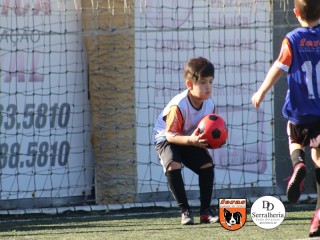 
<a style='margin-left: 5px;' class='btn btn-xs btn-social btn-facebook' href='https://www.facebook.com/sharer/sharer.php?u=https://boladovale.com.br/imgs/800-800-90/conteudo/fotos/1900/img3691.jpg' rel='popup' data-width='500' data-height='400'><i class='fa fa-facebook'></i>Compartilhar <span class='hidden-xs'>no Facebook</span>
</a> 
<a class='btn btn-default btn-xs' target='_blank' href='imgs/800-800-90/conteudo/fotos/1900/img3691.jpg'>
<span class='glyphicon glyphicon-cloud-download'></span> Salvar
</a> 
<span></span>