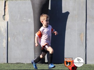 
<a style='margin-left: 5px;' class='btn btn-xs btn-social btn-facebook' href='https://www.facebook.com/sharer/sharer.php?u=https://boladovale.com.br/imgs/800-800-90/conteudo/fotos/1900/img3693.jpg' rel='popup' data-width='500' data-height='400'><i class='fa fa-facebook'></i>Compartilhar <span class='hidden-xs'>no Facebook</span>
</a> 
<a class='btn btn-default btn-xs' target='_blank' href='imgs/800-800-90/conteudo/fotos/1900/img3693.jpg'>
<span class='glyphicon glyphicon-cloud-download'></span> Salvar
</a> 
<span></span>